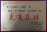 洪禾化工先进集体.jpg